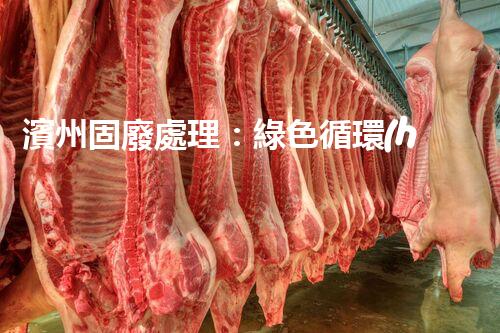 濱州固廢處理：綠色循環(huán)，筑夢生態(tài)濱州